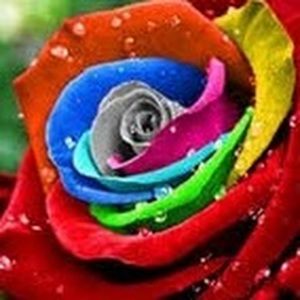 Meet your Posher, David & nicole